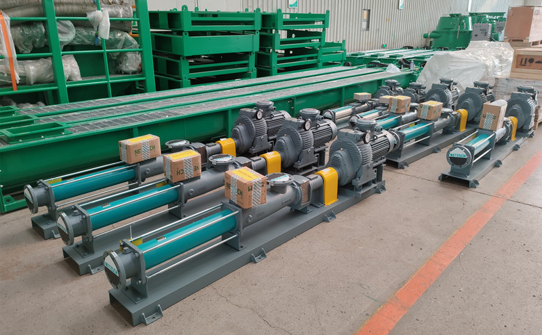 202196 Screw Pump